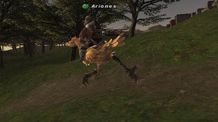 Ariones and his Chocobo