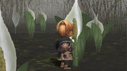 Stopping to smell the flowers