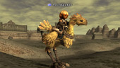 MS gets his chocobo license