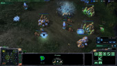Starcraft 2 - Ava's rushing skills prove supreme as Anubis flounders